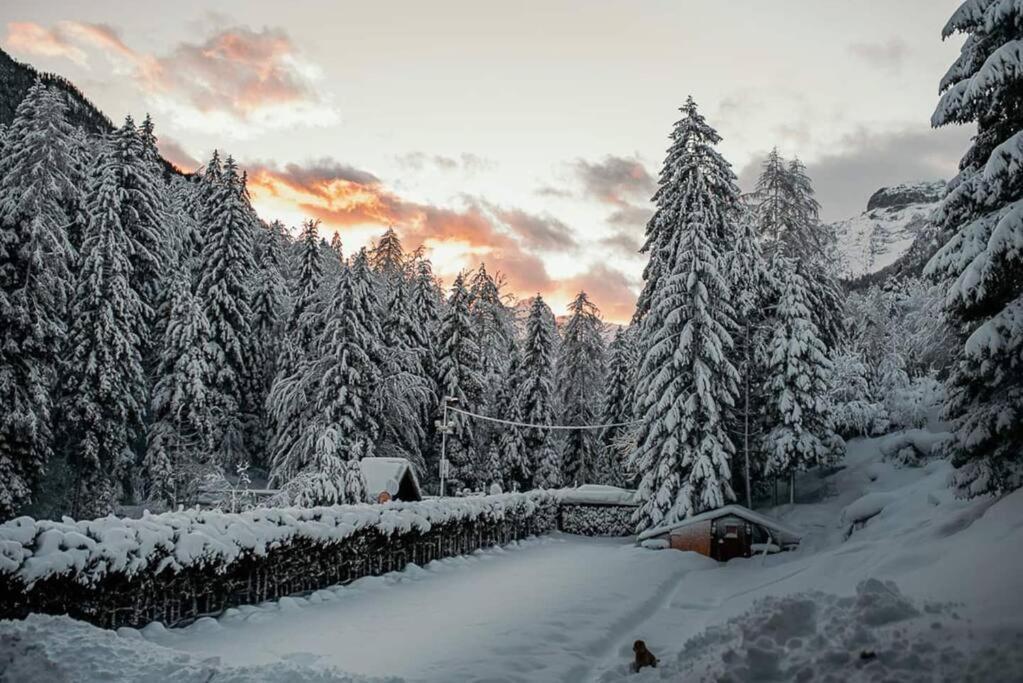 Idyllic Triglav Forest Retreat - Alps, Trails, Lakes, Falls Мойстрана Экстерьер фото